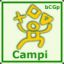 Campi