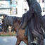 horses
