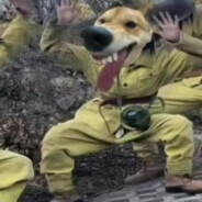 不要倒着看学校的喷绘