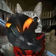 Shandy i used to love