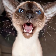 中国洪洞李丙舟