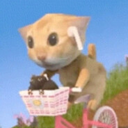 我真的不想睡觉