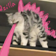 I will hunt you down