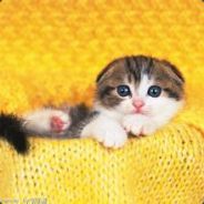 格拉纳达第一赏金猎人