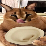 НастоящийПельмен