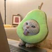 情话讲给影子听