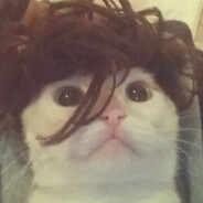 CΛLΛMITY's avatar