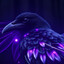 Raven