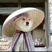 狂踹瘸子那条好腿