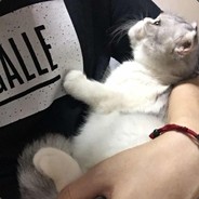 77号技师为您服务