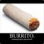 Master Burrito