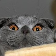 不在家的佳佳民