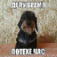 Воин света