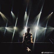 今晚打老虎