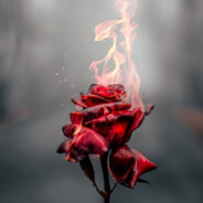 MOZART - steam id 76561198857015001