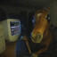 Avatar of horse gaming