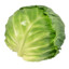 Cabbage