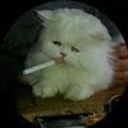 mdxx_ - steam id 76561199662220147