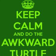 An Awkward Turtle