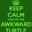 An Awkward Turtle