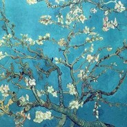 舞蝶迷香径