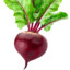 Beevis the beet