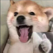 深扣菊花闻指香