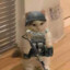 SCAV