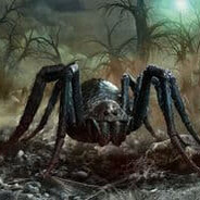 свойский потрох