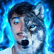 Night Fury