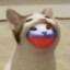 totorusXZ