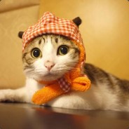 爱吃土豆的仙女儿