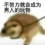 祁颂