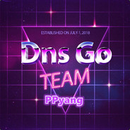DnsGo_Ppyang