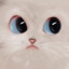 Tailpaw