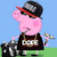 crzygamerr456