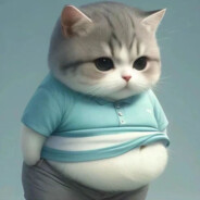 筱武子1.1.5群岛