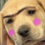 Uwu-brow Enthusiast