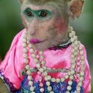 love ko si monkey!