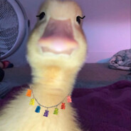 Donald
