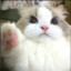 HowMuch