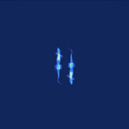 Absolute Precision Steam avatar