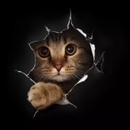 МЯУ - steam id 76561199663042789