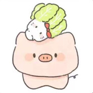 阿言呆
