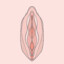 NnD vulva