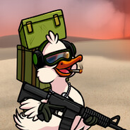 Quacktical