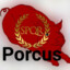 Porcus