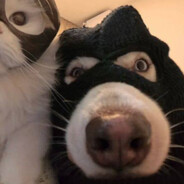 КУЗЯ ЛАКОМКИН