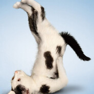 умею вот так - steam id 76561199589157630