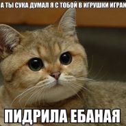 педрила_ебаная ;3